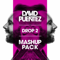 DAVID PUENTEZ I Mashup Pack 2