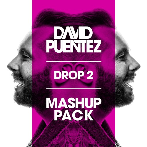 DAVID PUENTEZ I Mashup Pack 2