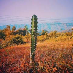 Bhalo Theko by Cactus