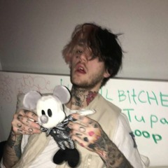 ☆LiL PEEP☆ - right here w/ horse head (chill by matty color)
