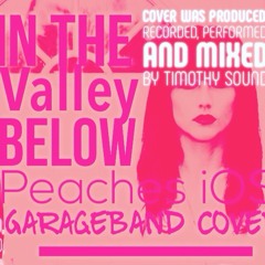With Vocals - In the Valley Below - Peaches (iOS GarageBand Cover)