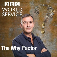BBC The Why Factor: Why do people hear voices in their heads?