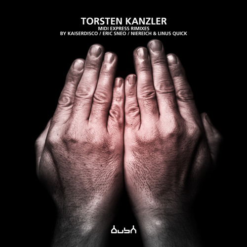 Torsten Kanzler - Midi Express (Niereich and Linus Quick Remix)