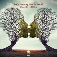 Crocy ft. Ashley Berndt - Passion (Paul Angelo & Don Argento Remix) Snippet