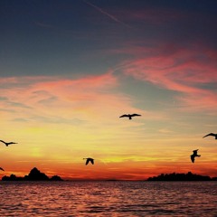 Riptide Acoustic Cover