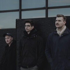 IVY //  bokeh acoustic trio