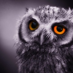 Why Do I Believe (live)