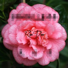 Camellias Red'