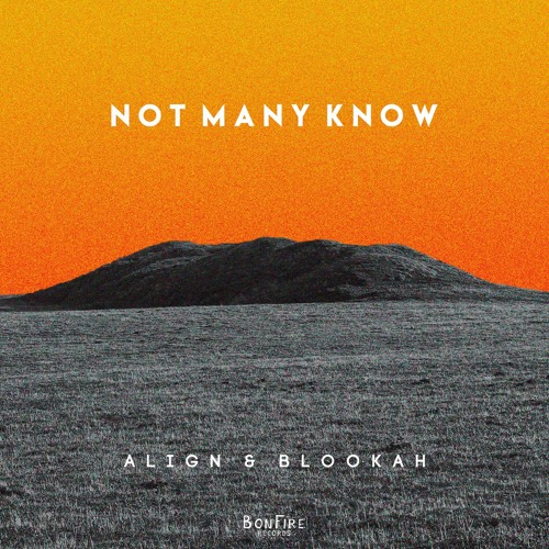 ALIGN & Blookah - not many know