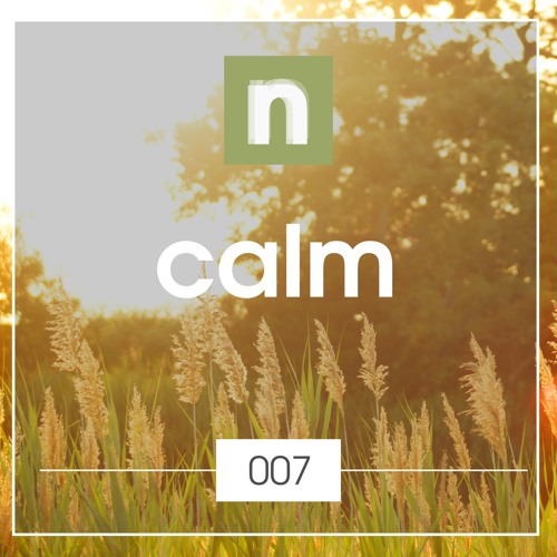 newsic #007: Calm