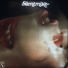 Gucci Mane Ft The Migos- I get the bag (SilentMike remix)