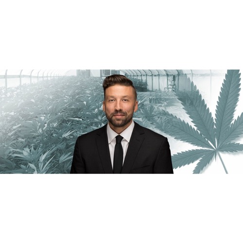 Michael Brubeck: How to Identify a Winning Cannabis Investment