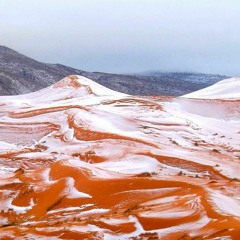 ЩЕ БЪДЕМ ЛИ ИСТИНСКИ