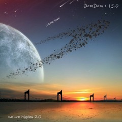 DomDom is hippie 15.0 / Cosmic Love