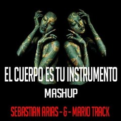 El Cuerpo Es Tu Instrumento Mashup Sebastian Arias  Mario TracK