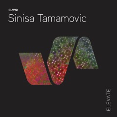Sinisa Tamamovic - Triangle - Elevate