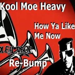 Kool Moe Heavy - How You Like Me Now (Bradley Drop Re - Re-Bump)