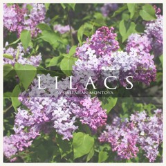 Lilacs (Prod. Tom Misch)