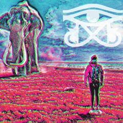 Chuck Walker Beats The Elephantman Pt.1