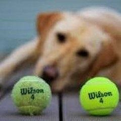 Out with the Old, In with the New (Paul Smith, 9/3/2017)