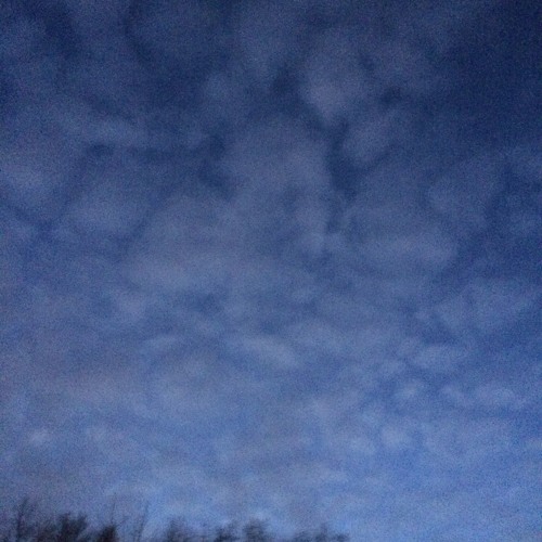 sidewayz (prod. scottysplash)