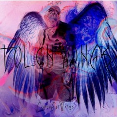 STOLEN WINGS ll (PROD. CARDOGOTWINGS)