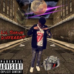 BackWoods Lil Shaun X JV