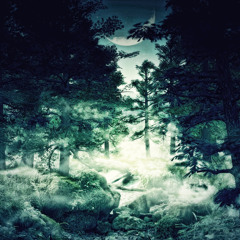 [CREATIVE COMMONS MUSIC] DARK AMBIENT HORROR THRILLER DISTURBING HAUNTED FOREST ATMOSPHERE 007