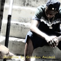 Versatile by Golden Animal(DJ Zoe Speedy)