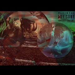 Viibe (Prod. Dub Caprio)