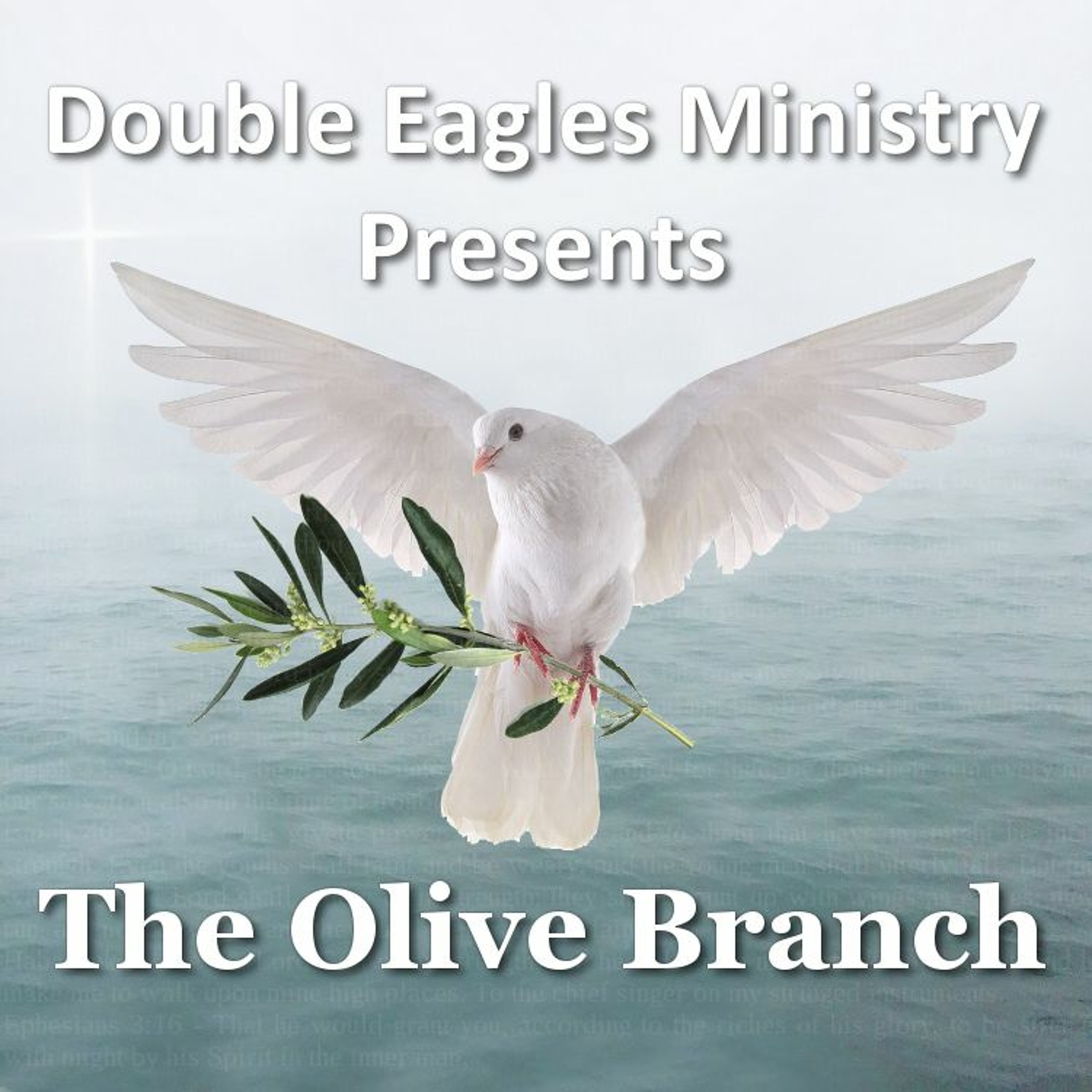 The Olive Branch episode artwork