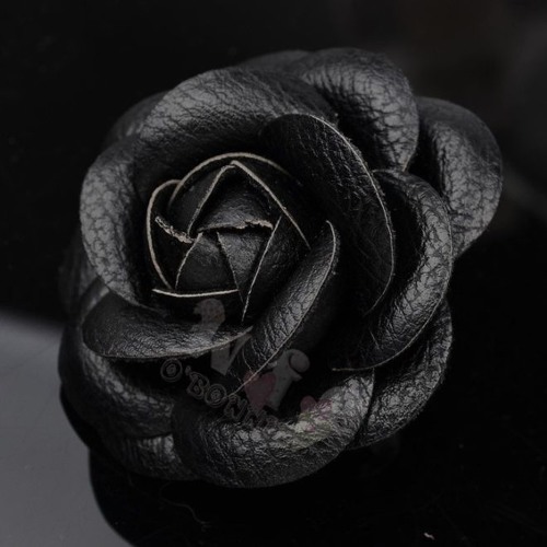 Camellia - The King Of Lions