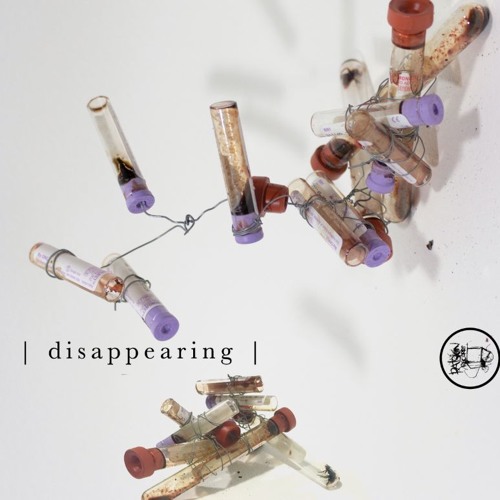 disappearing - The Shell, Decayed (EXCERPT)