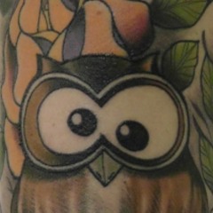 little Owl@impressions & experiences....