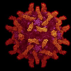 Untrained Killer (Draft)