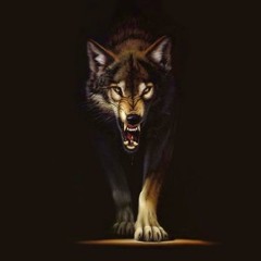 Distance - Wolves [prod. Neskimo]