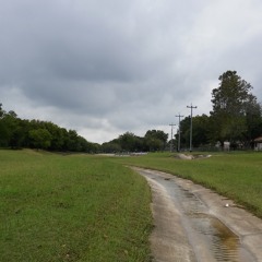 Strawberry Feilds forever (Beatles cover)