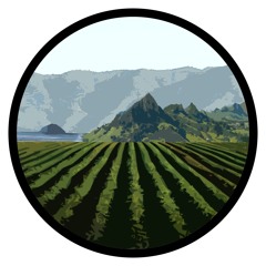 Elevator Music - The Davy Gee