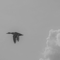 Solfeggio Wind In RE (undoing situations and facilitating change)