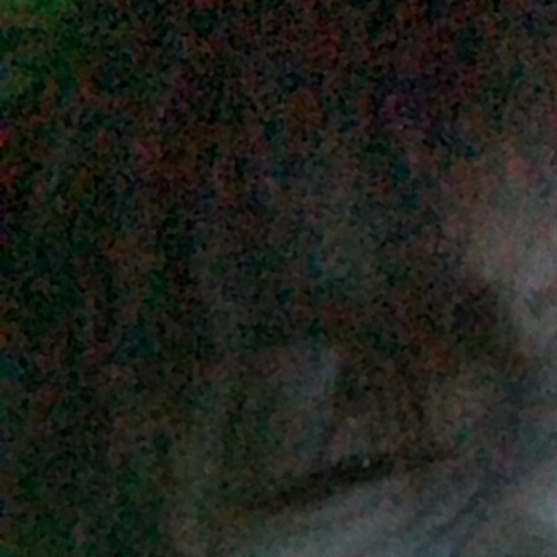 grey matter [p. tyler durden]