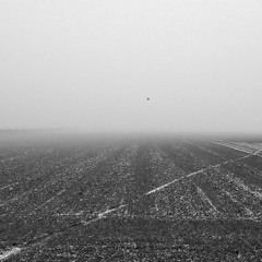 A Long Way Down