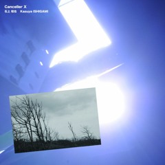 03 Falling Memory