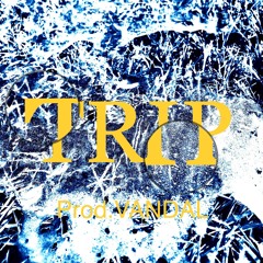 TRIP (Prod.VANDAL)