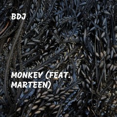 Monkey (feat. Marteen)