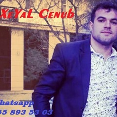ILQAR DENIZ ORXAN ESQIN_SURUREM OYANA 2015