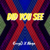 Did You See - EnvyD X Naga