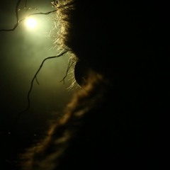 electronic poetry