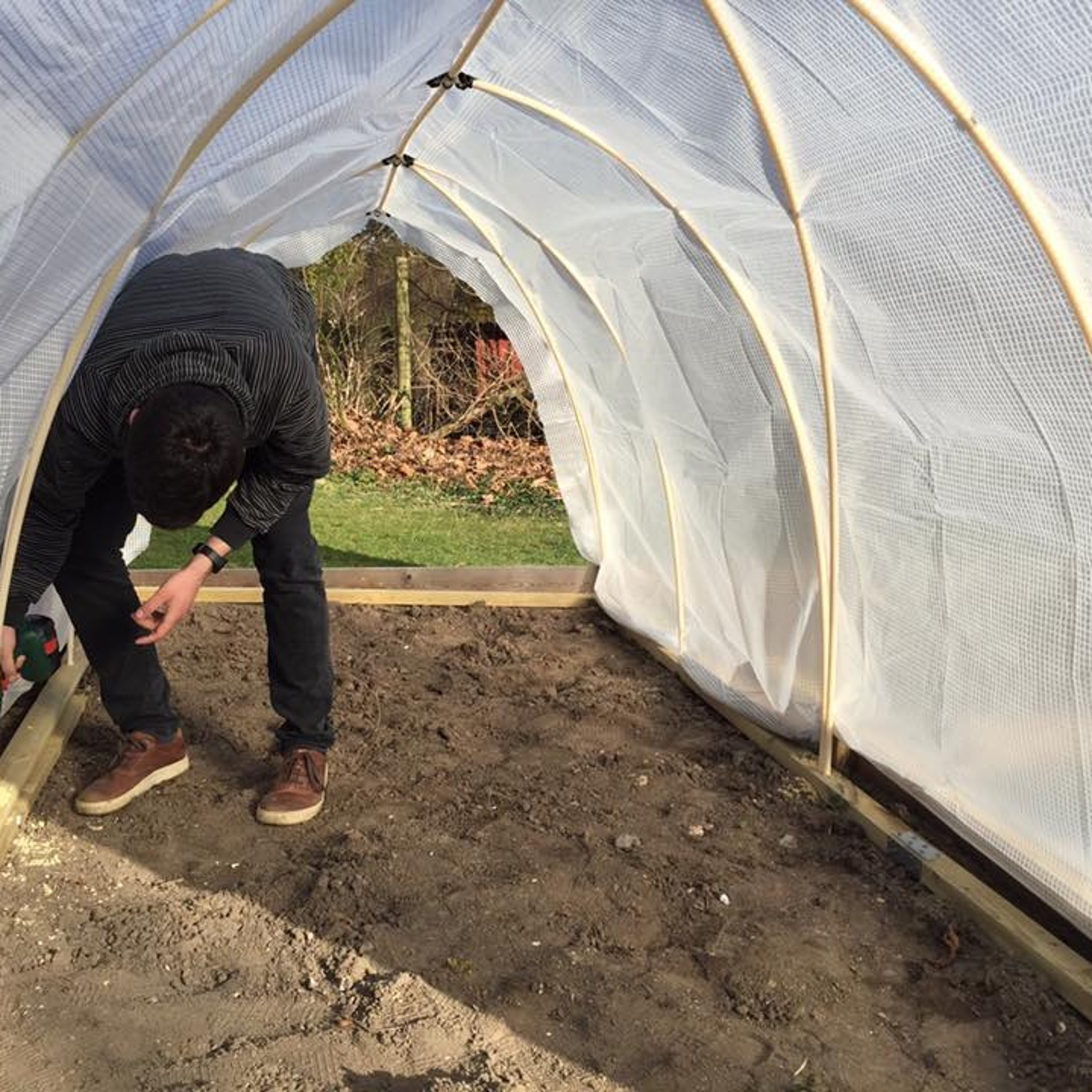 How community gardens upgrade urban spaces episode artwork