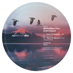 SB PREMIERE: Ilija Rudman - Distant Feelings [NuNorthern Soul]