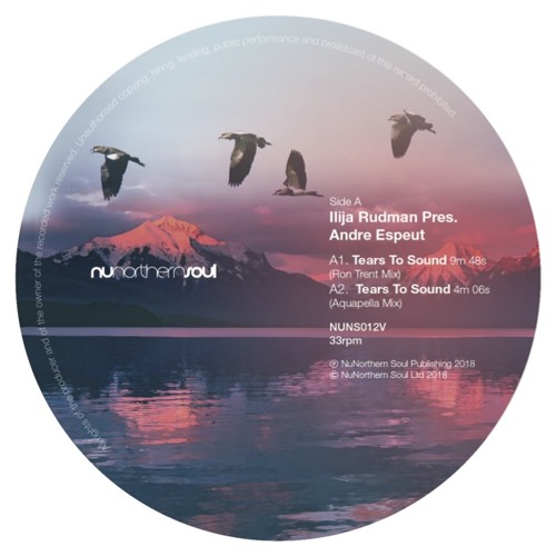 Stream SB PREMIERE Ilija Rudman Distant Feelings [NuNorthern Soul